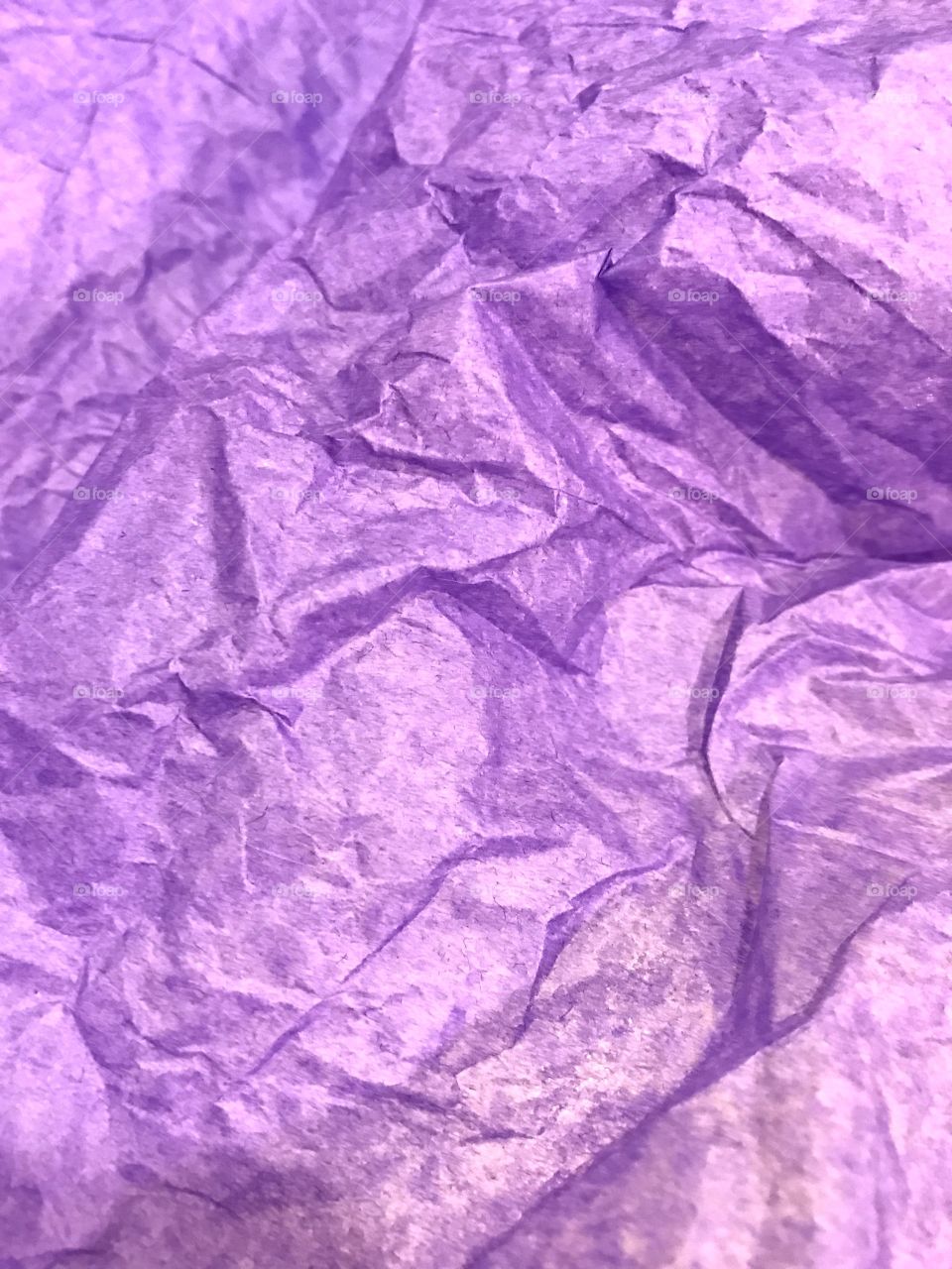 Wrinkled Purple 
