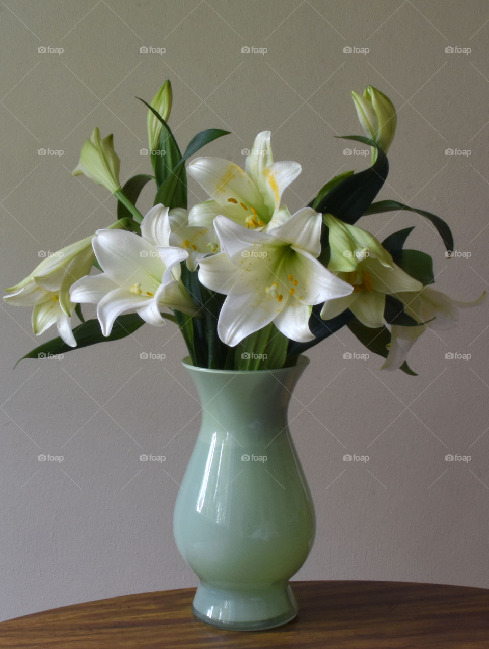 Easter, lily 