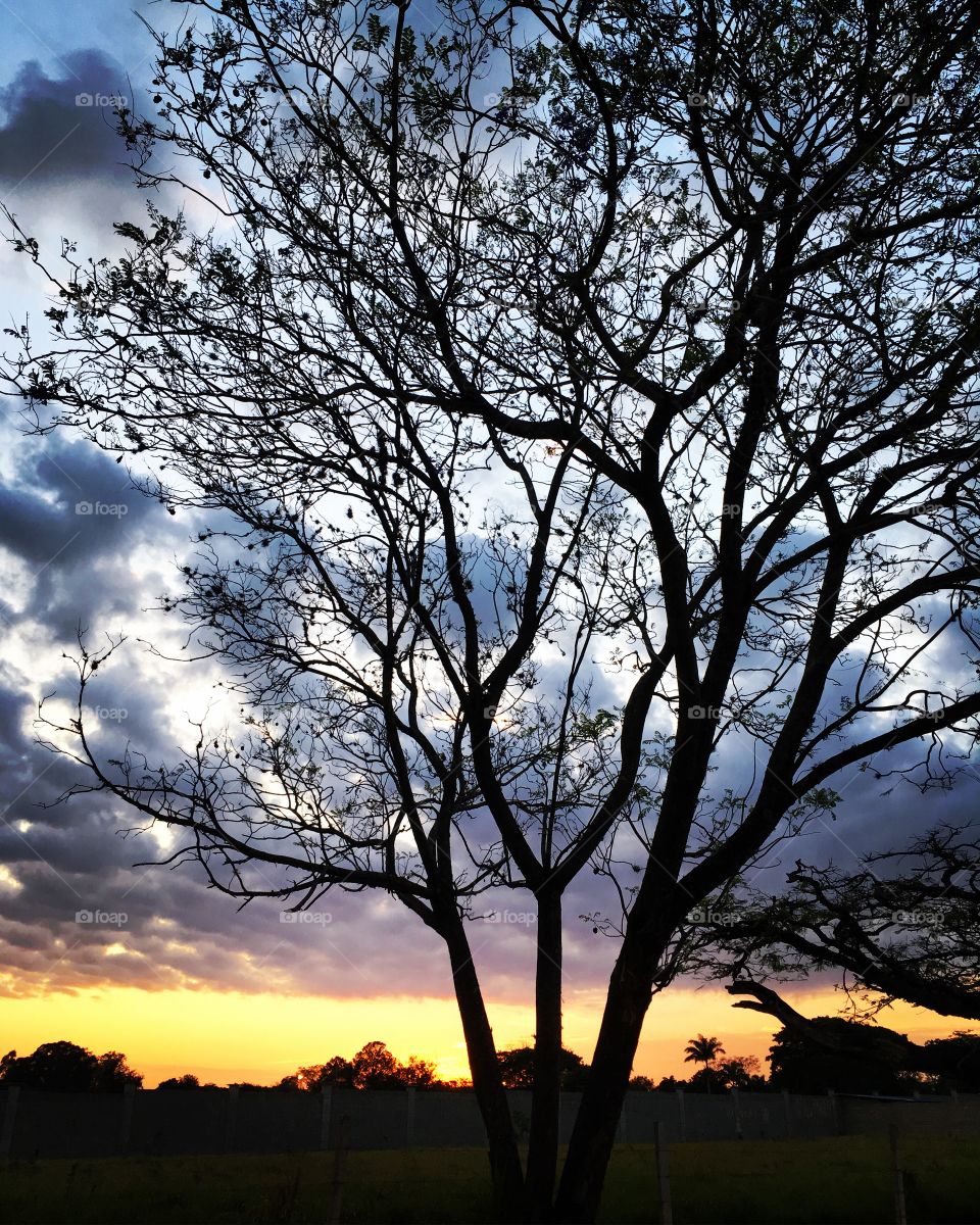 Amanhecer com céu muito belo!