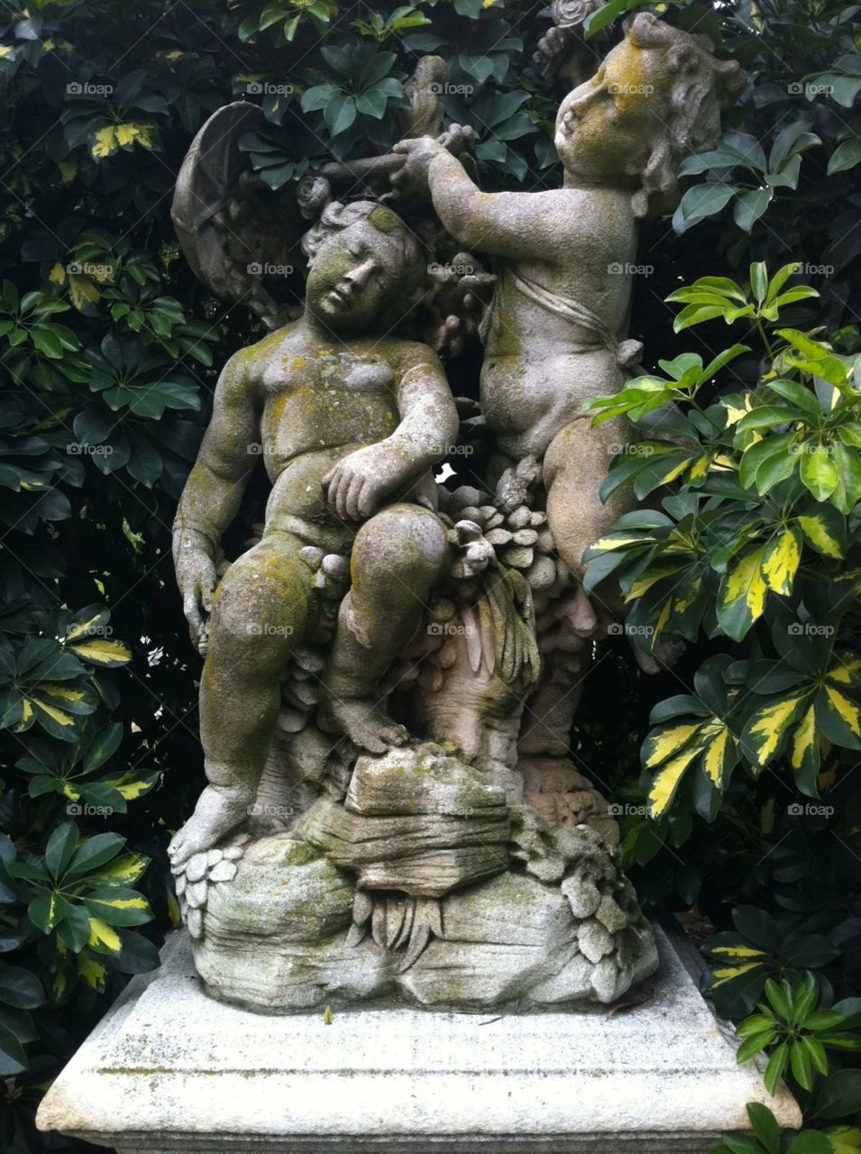 Huntington Botanical Reserve Statue 