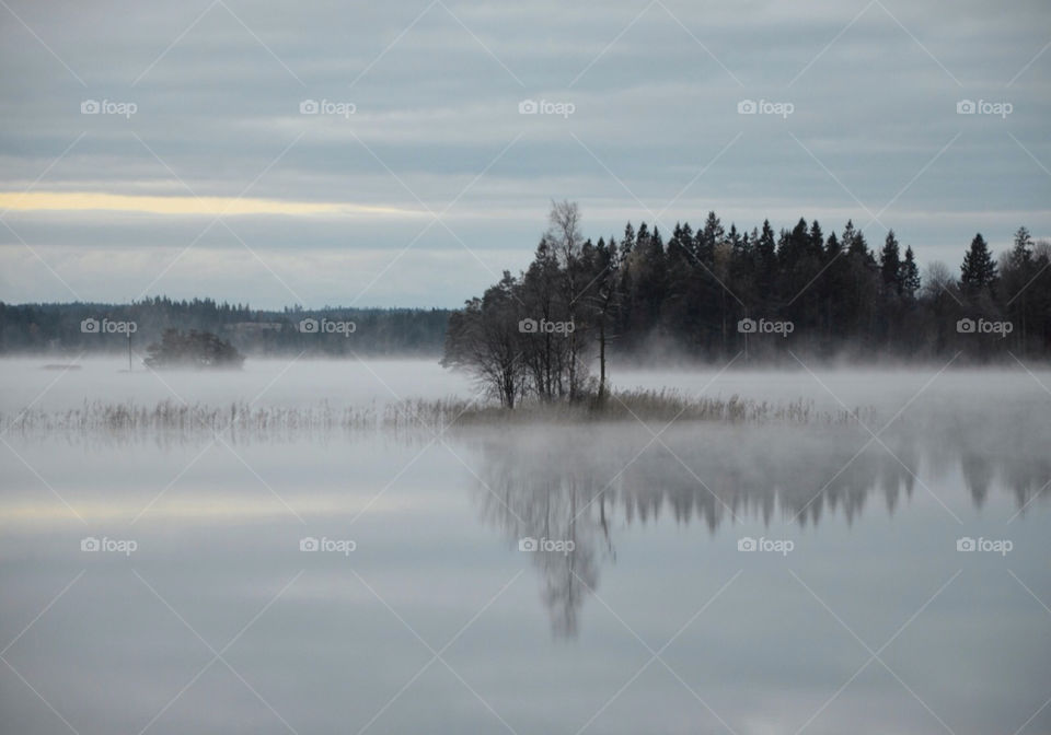 morning forest lake autumn by paula