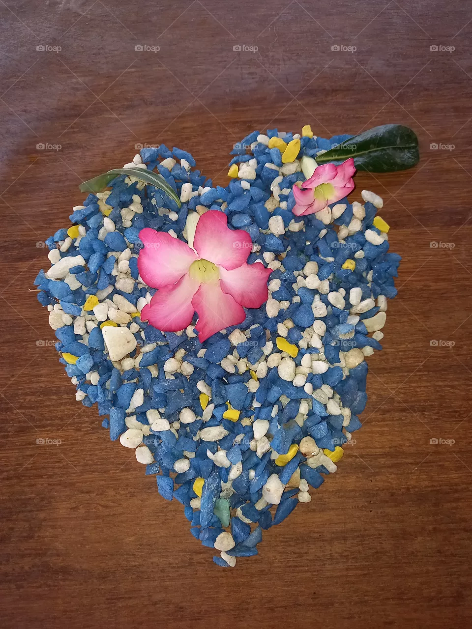 Pedrinhas coloridas com duas rosas em cima.