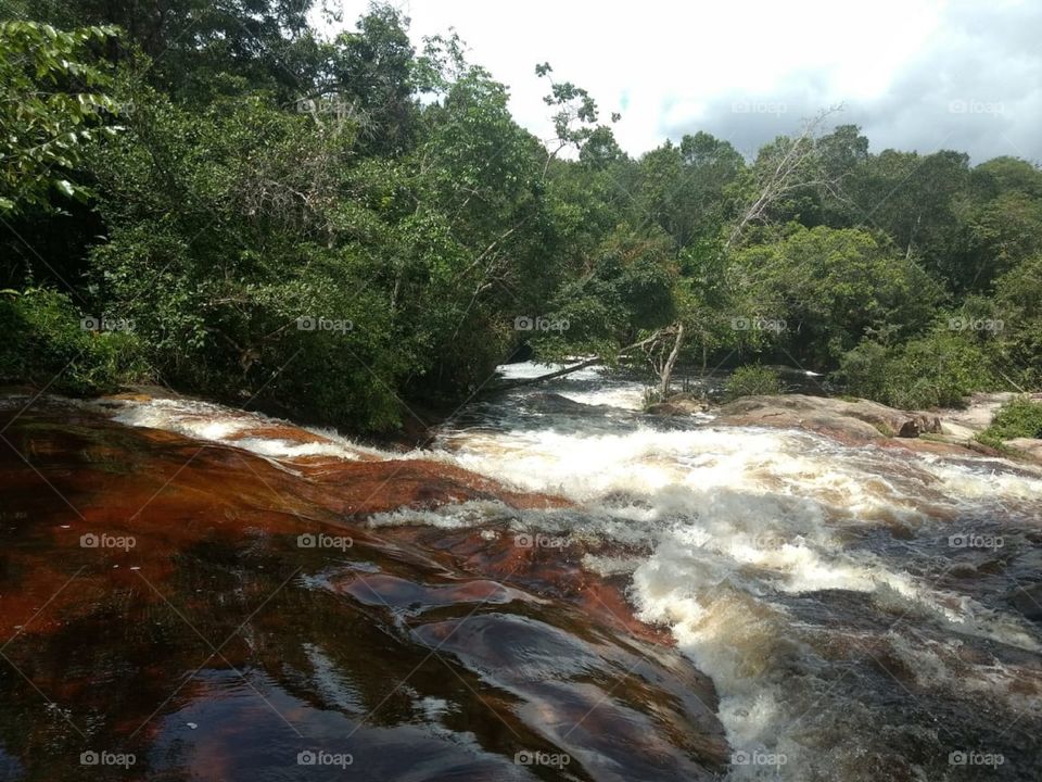cachoeira de águas negras com belíssima vegetação ao redor. Maranhão,  Brasil.