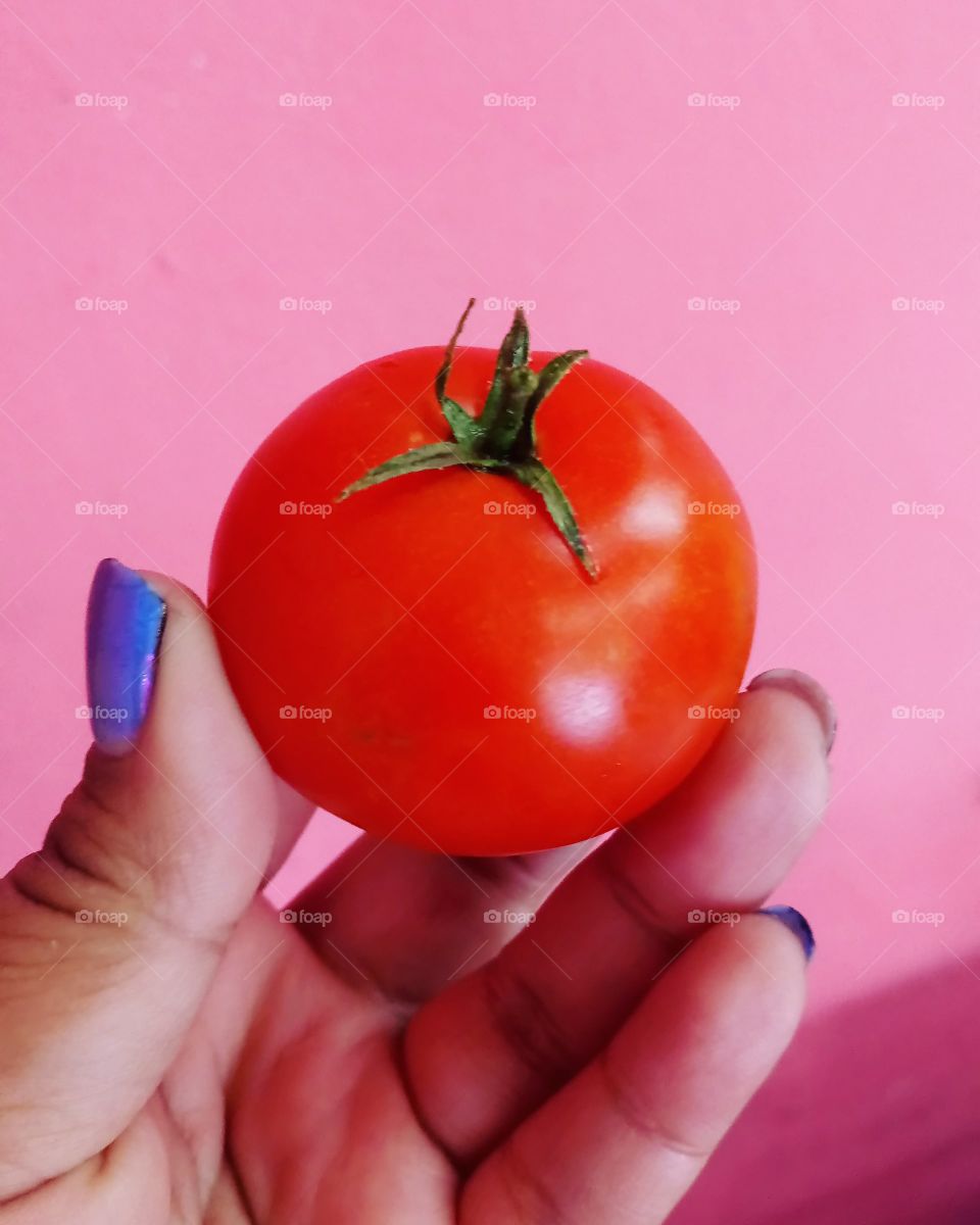 Tomate bomb, Beauty