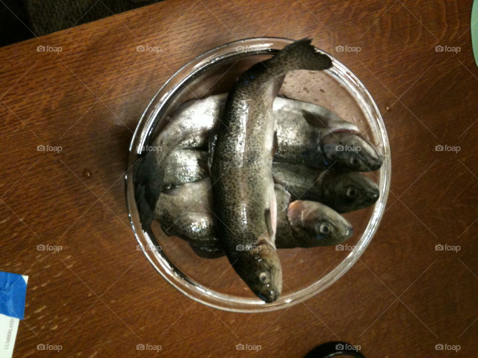 fish rainbow dinner trout by hurleyg1