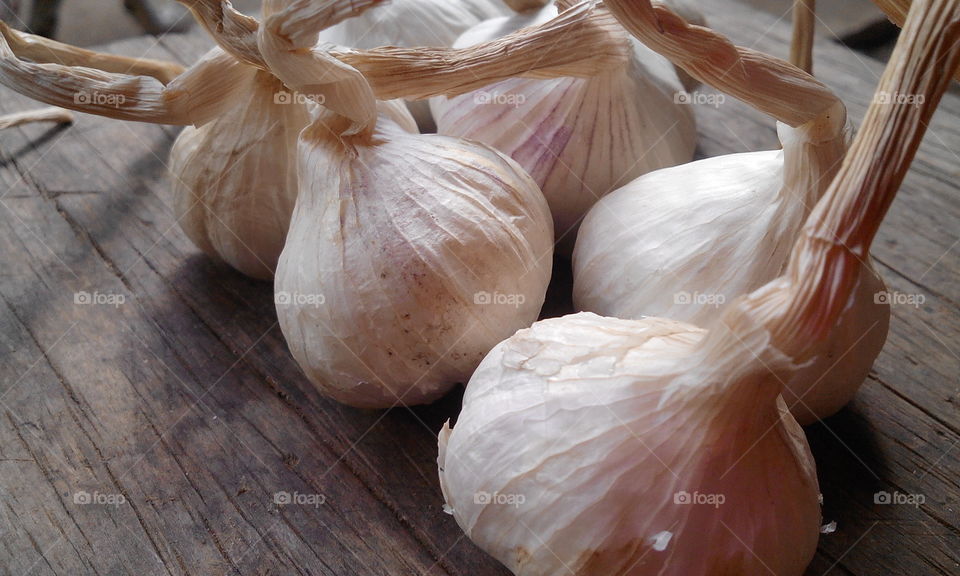 garlic