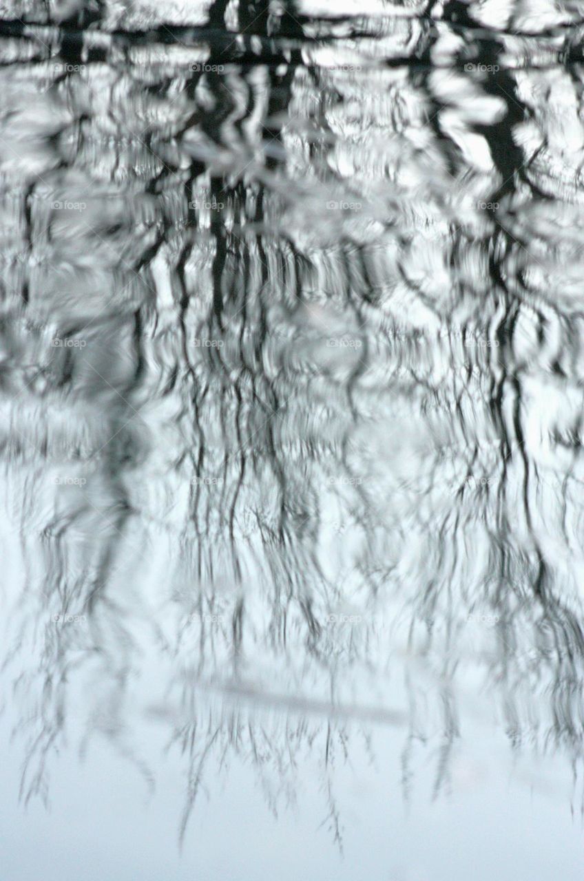 Willow branches rippling in the water