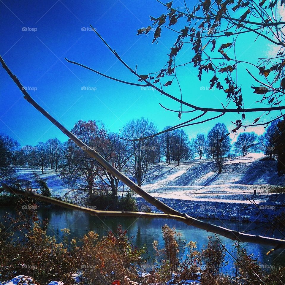 Snowy Day at the Park