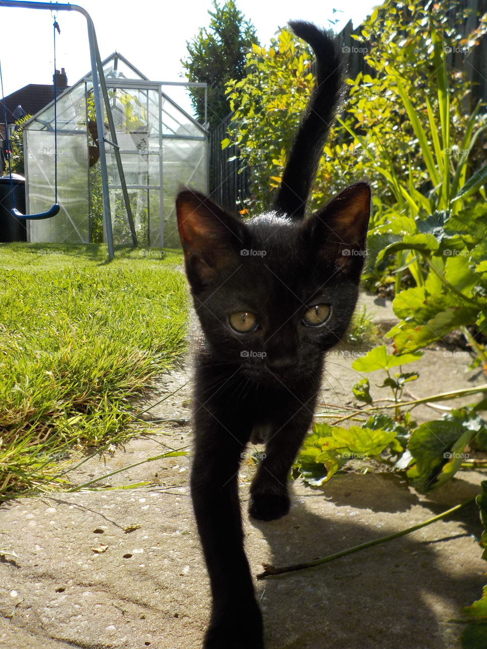 In its new territory 