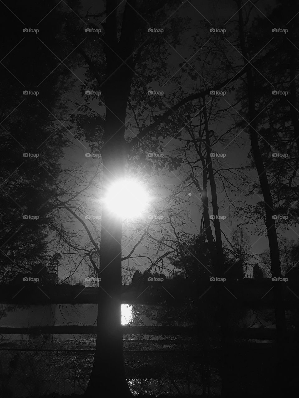 Daybreak In Black And White