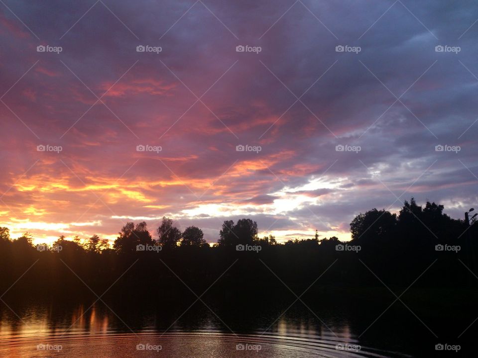 Silhouette of trees on lake