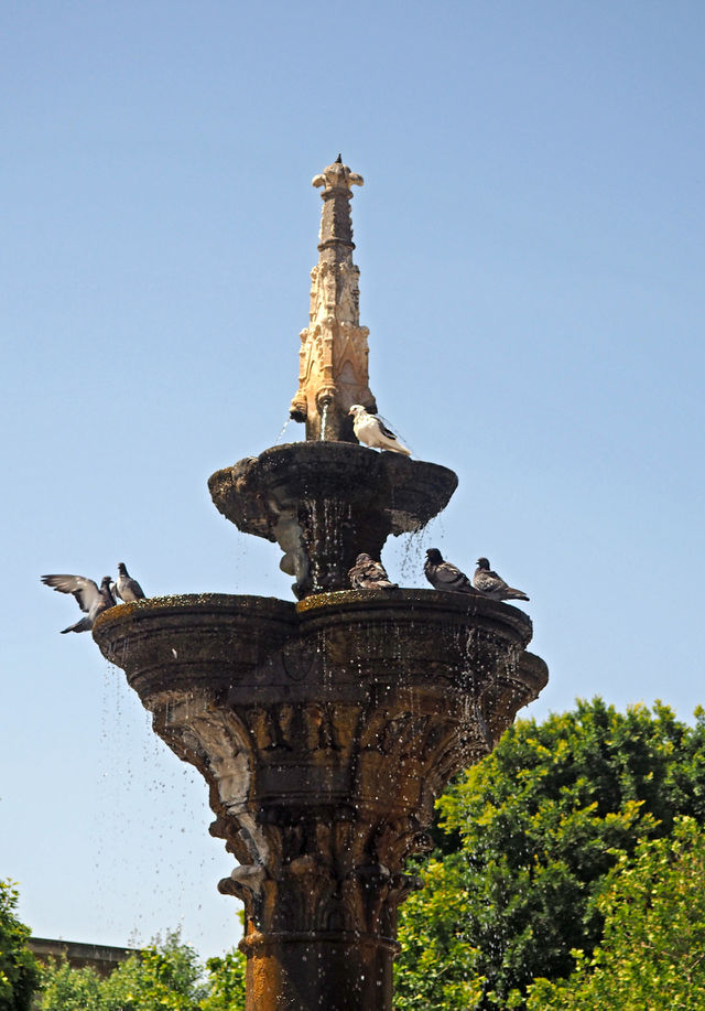 fountain