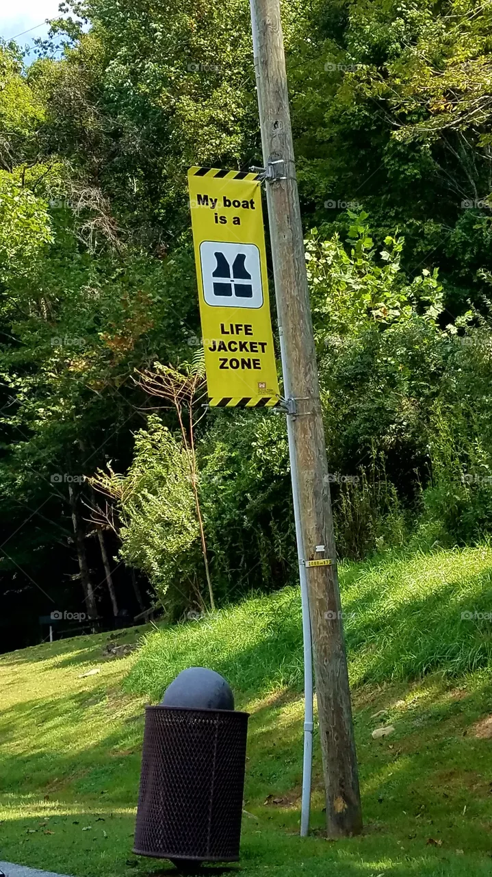 Geese