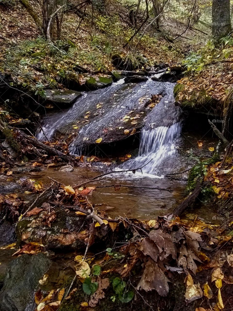 Autumn streams