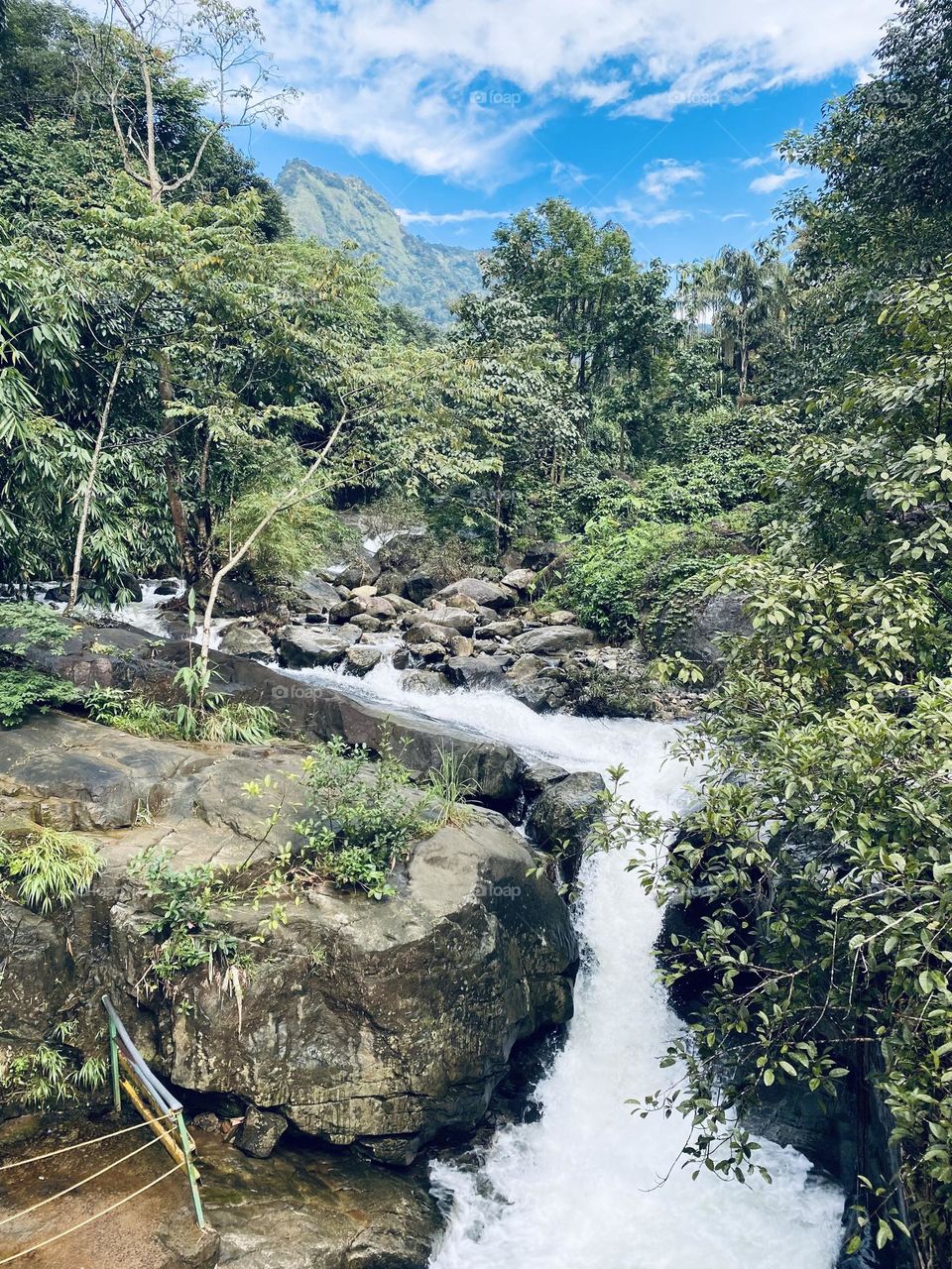 Waterfall in a forest 