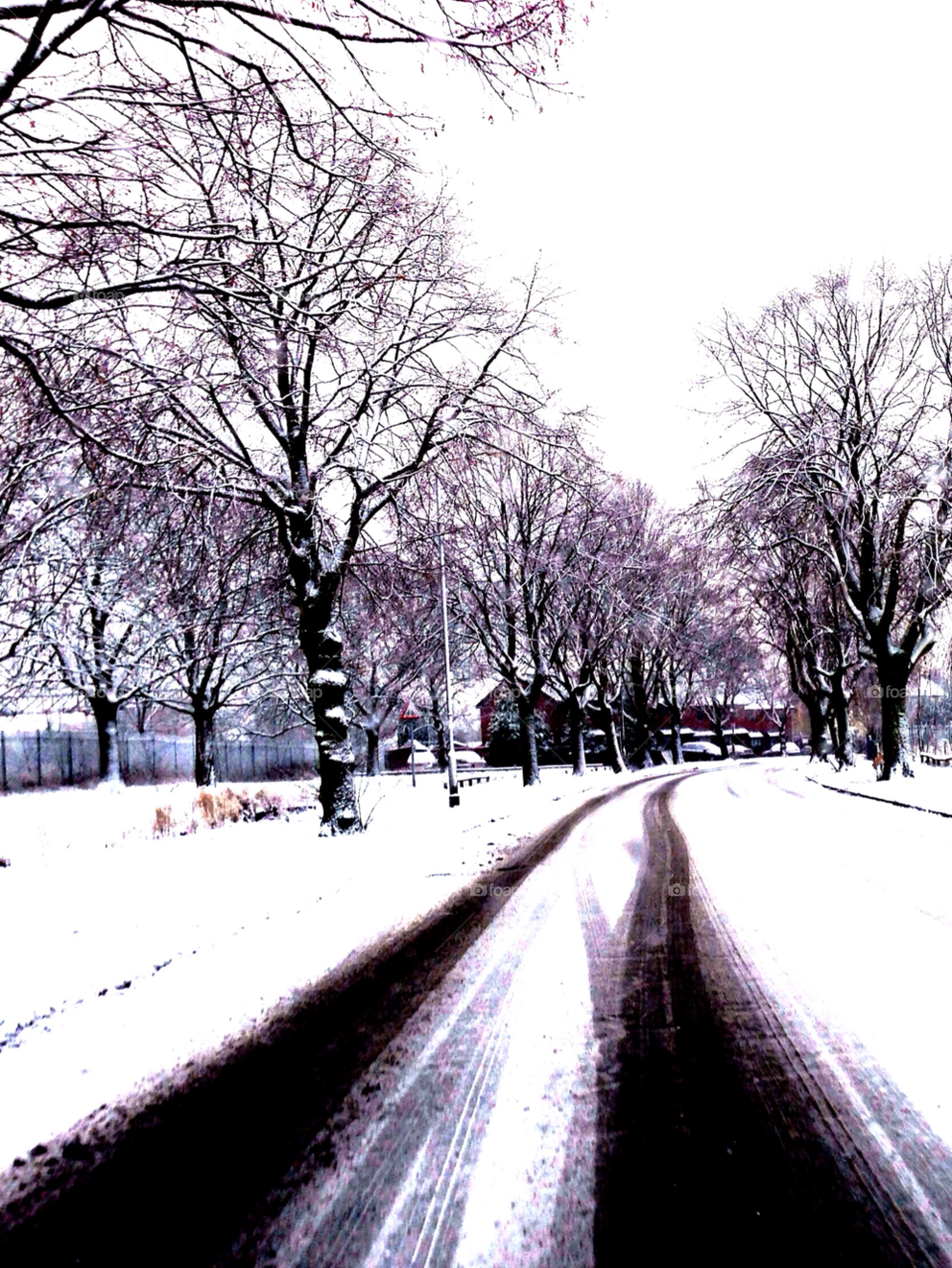 crewe cheshire united kingdom snow trees ice by null_device