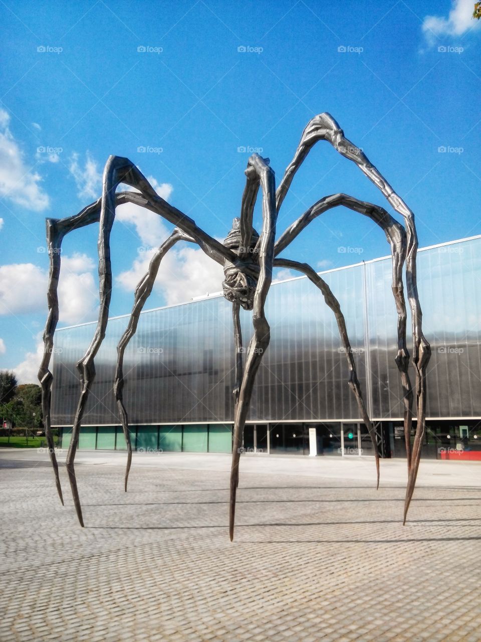 Spider Installation