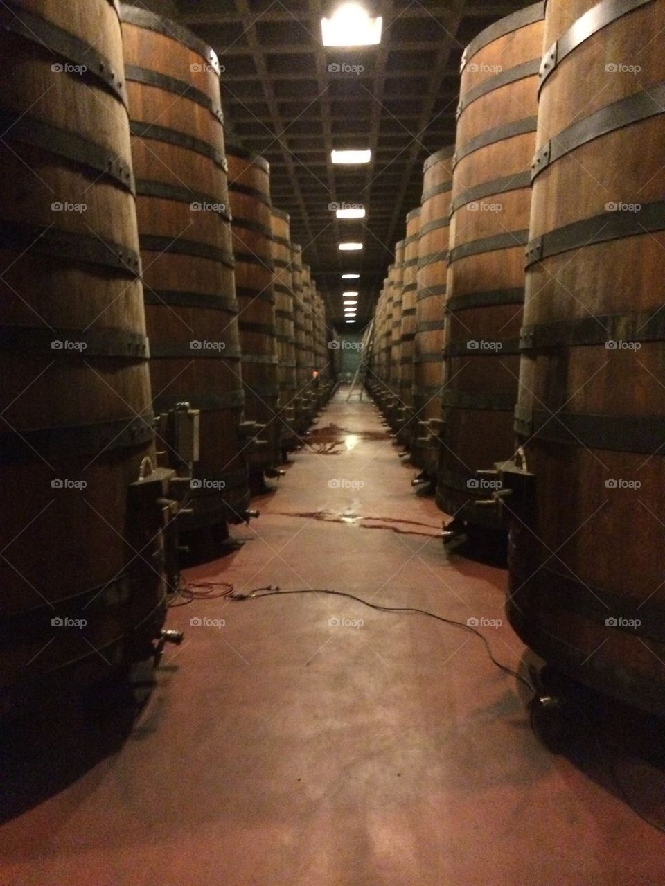 Wine cellar