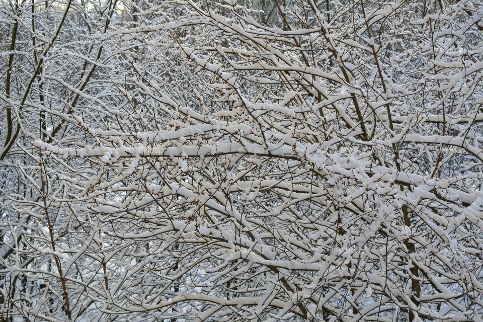 Desktop, Frost, Winter, Texture, Pattern