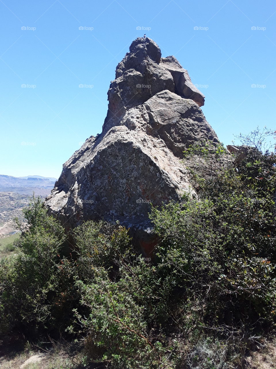 A beautiful display of a rock, bush surrounding