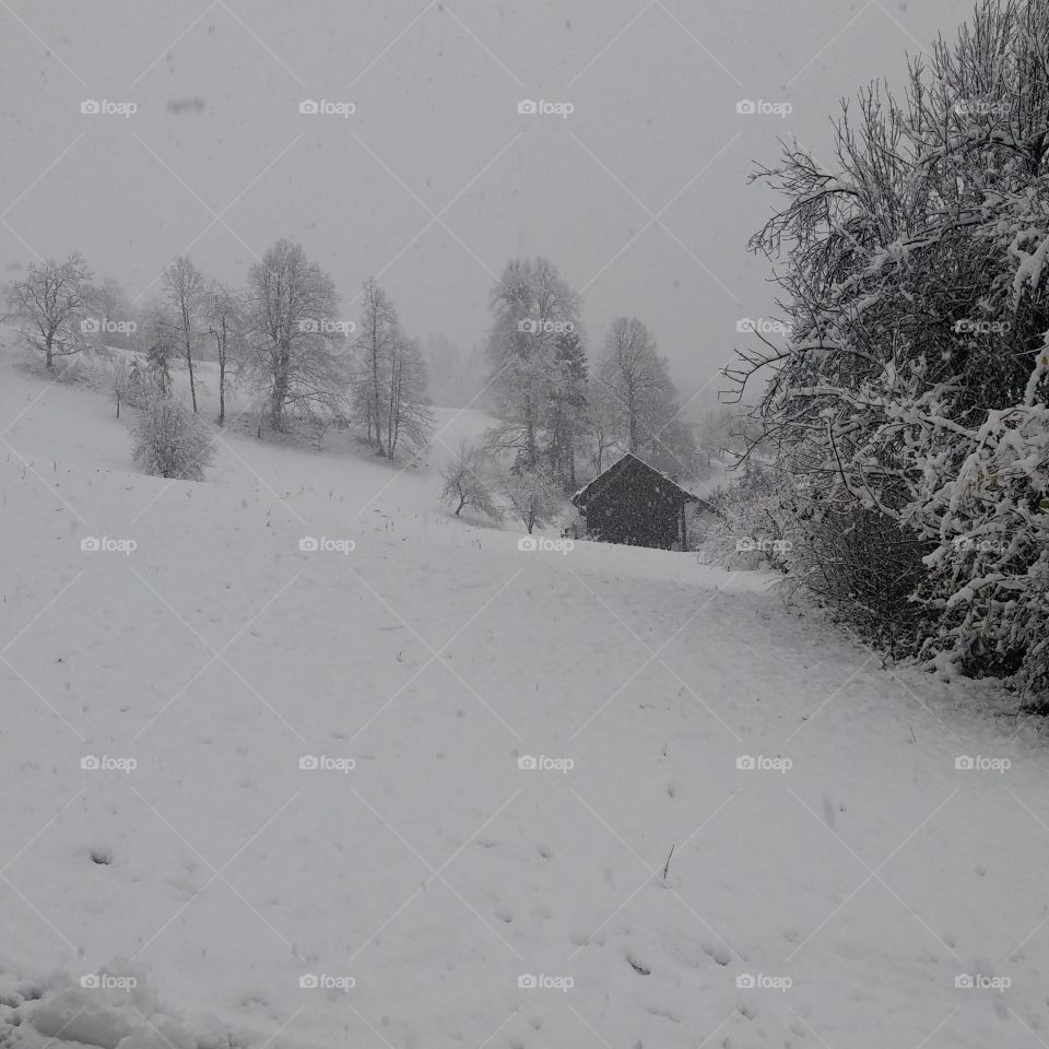 winter in slovenia