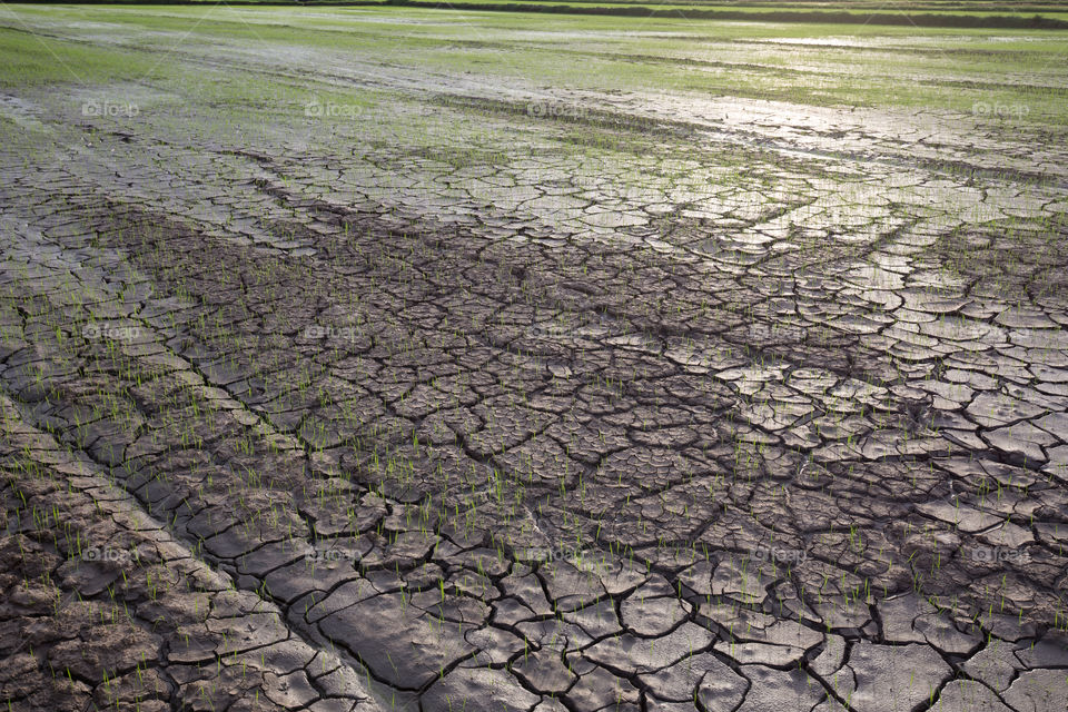 Clay farm agricultural land 