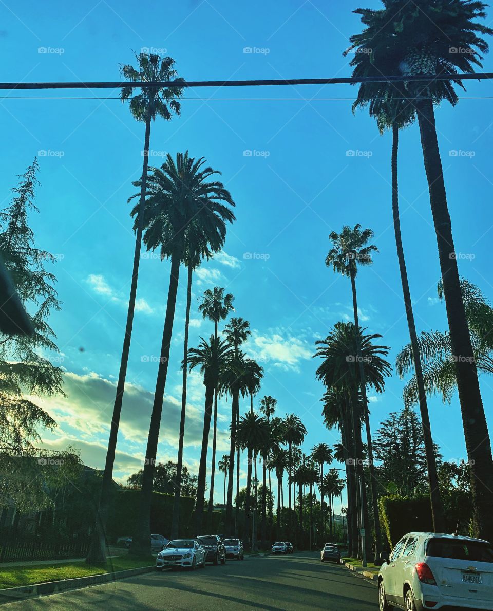 Beverly Hills