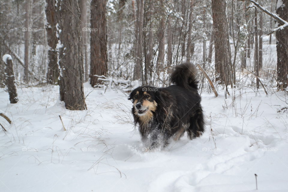 Winter activities outside