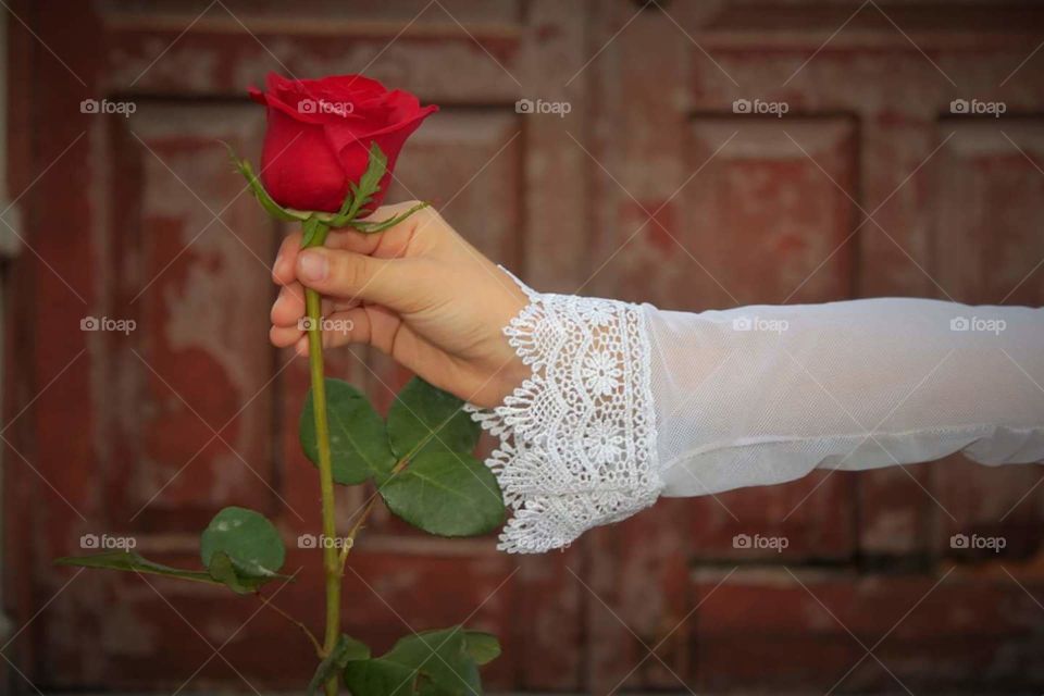 give love. accept. rose. details. child. innocence