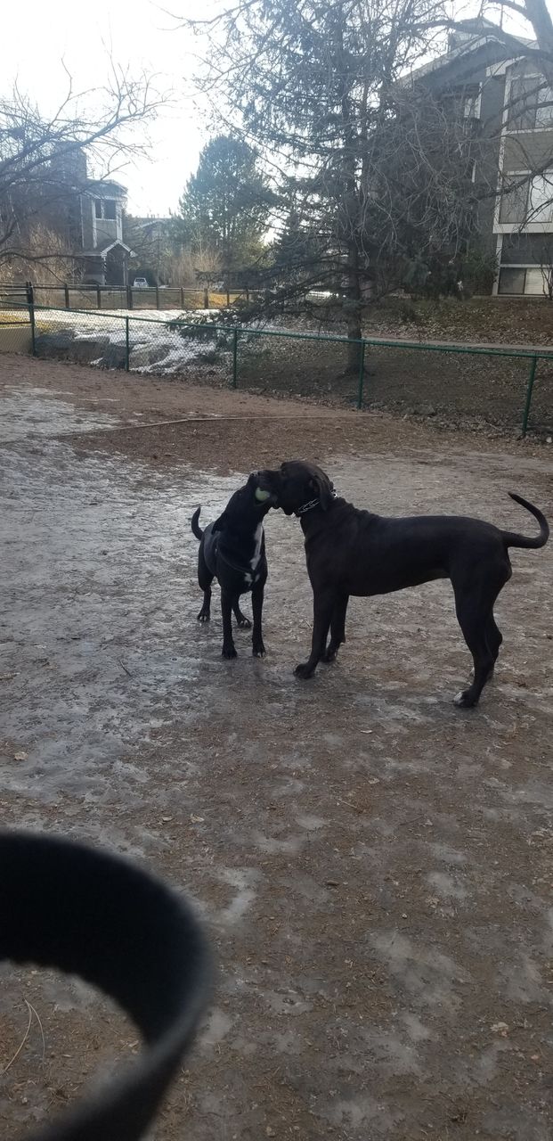 mine....