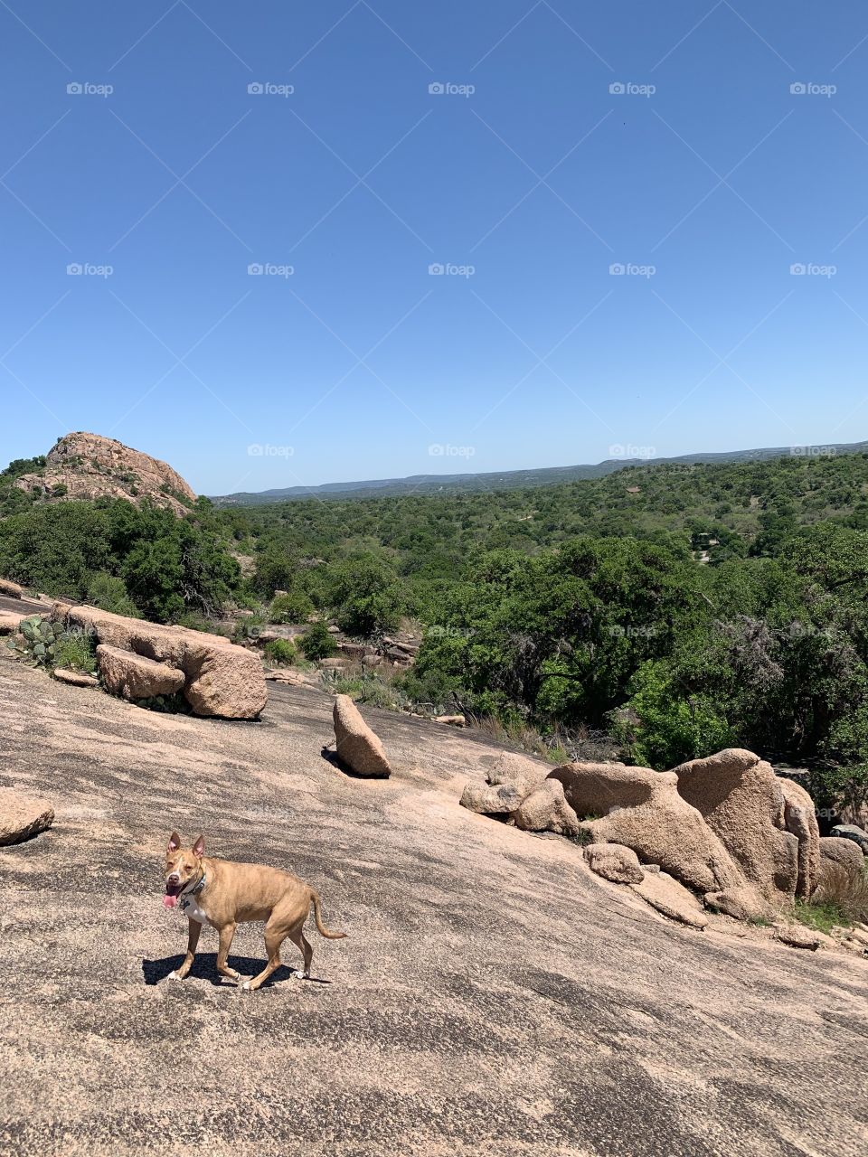 Enchanted rock park