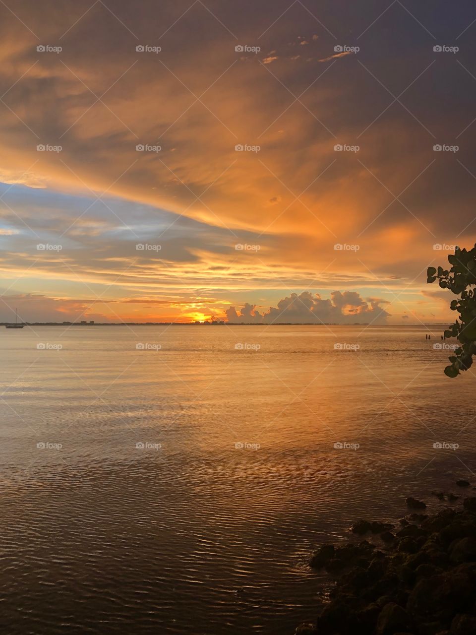 Sarasota Florida sunset 