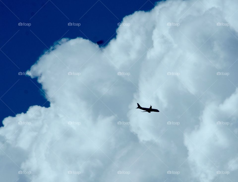 In plane view...pardon the pun