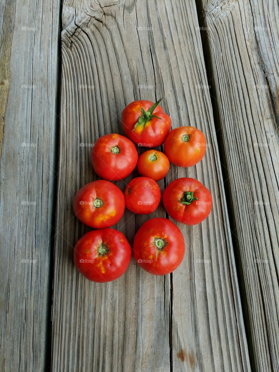 organic tomatoes fresh pick
