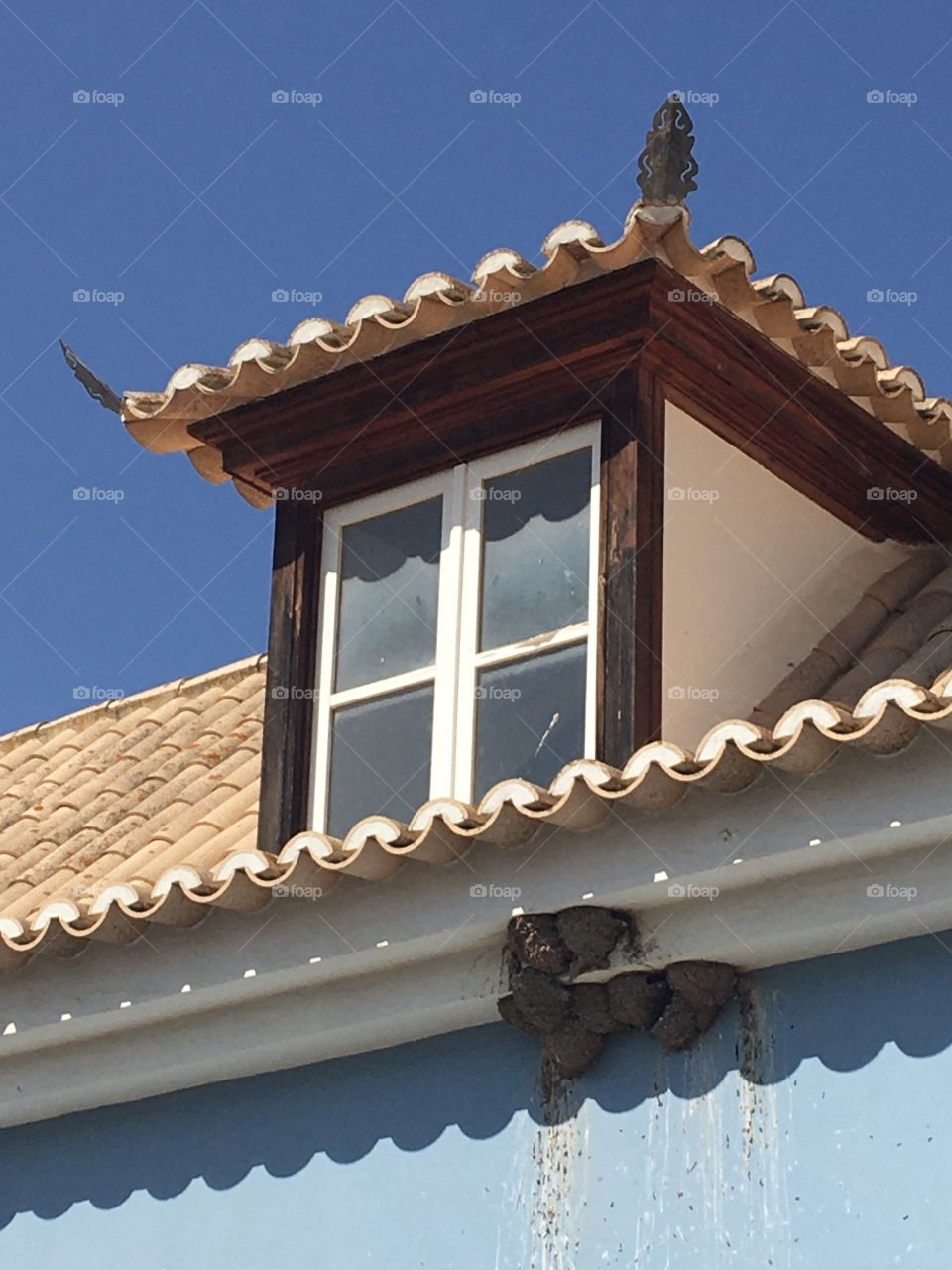 Traditional window with swallow's nests