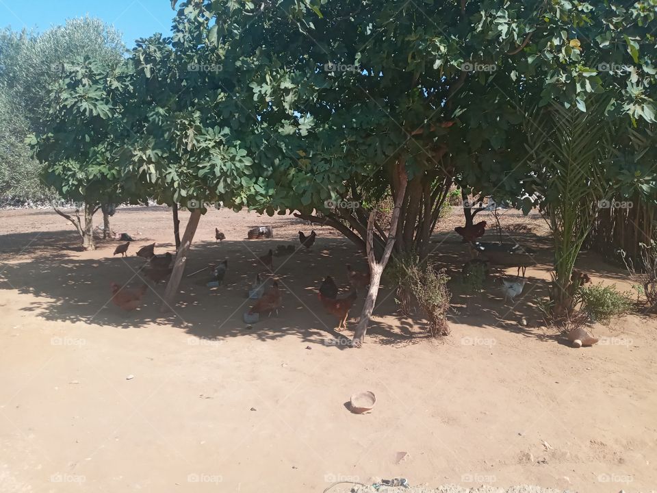 checking🥰🥰🥰