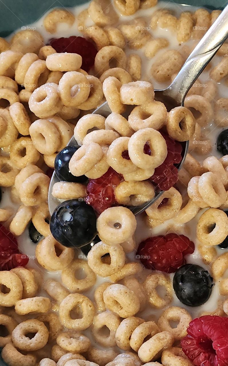 A spoonful of delicious cereal with fresh colorful blueberries and raspberries in milk