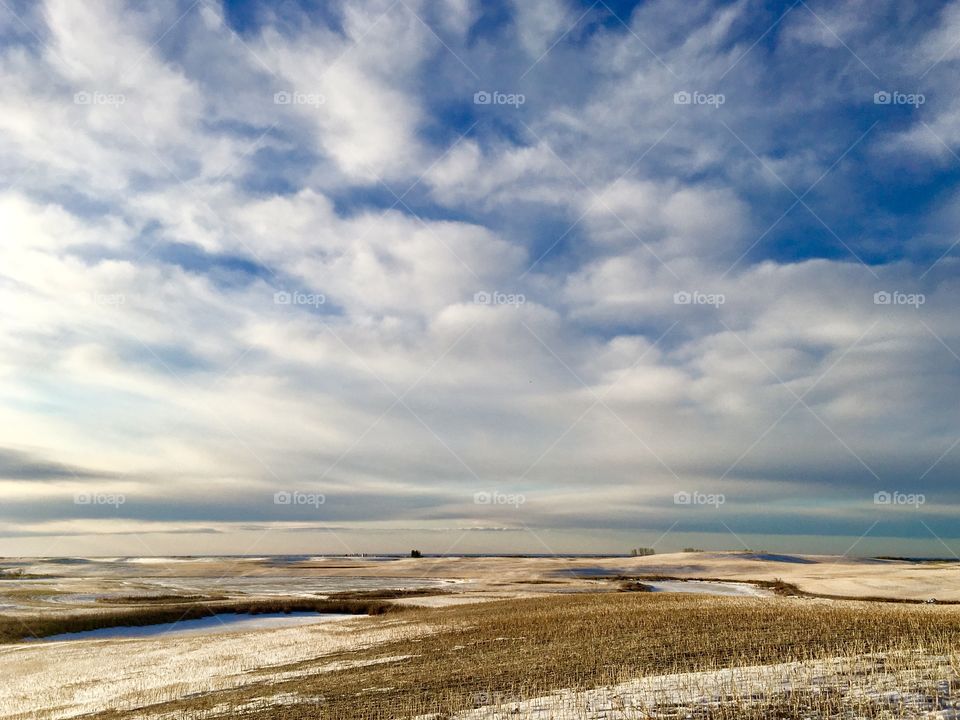 Winter prairie scene 