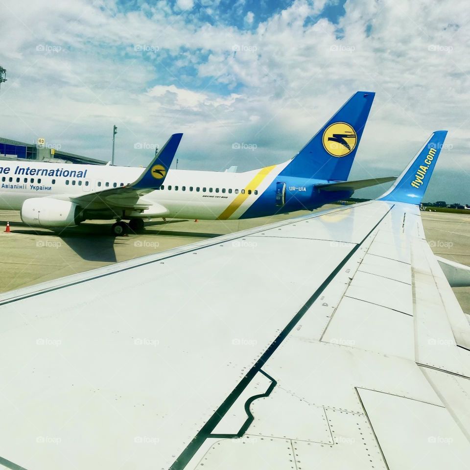 На фото, сделанном из иллюминатора самолета, видно несколько рядом стоящих самолетов. Их корпуса блестят на солнце, а хвосты с логотипами авиакомпаний поднимаются в небо.