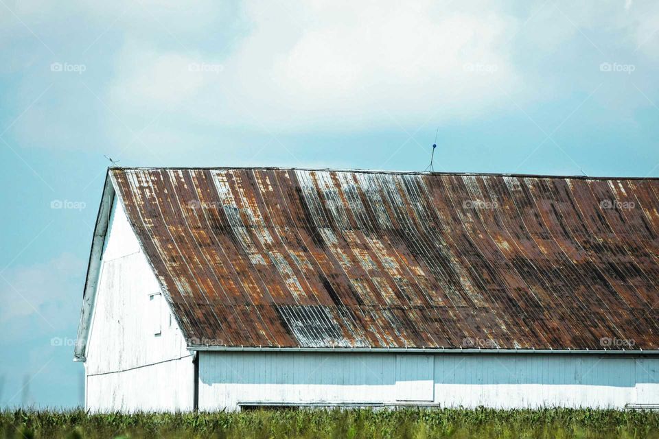 Rustic Barn Rooftop