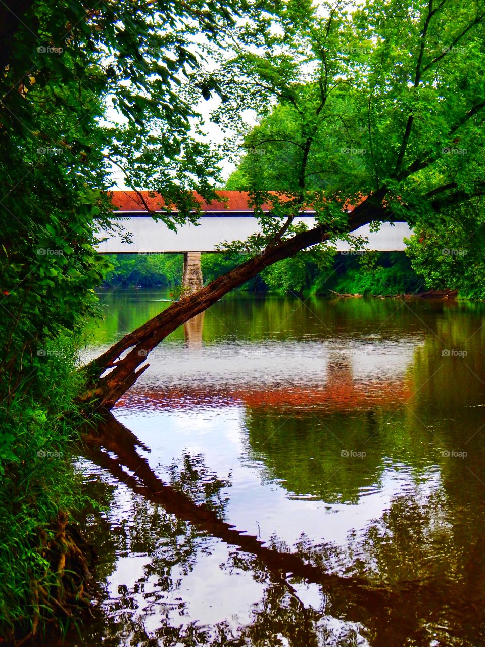 Old Indiana Covered Bridge 