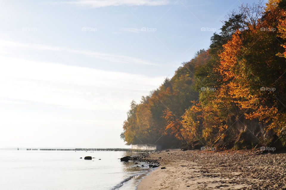 Autumn Baltic Sea coast 