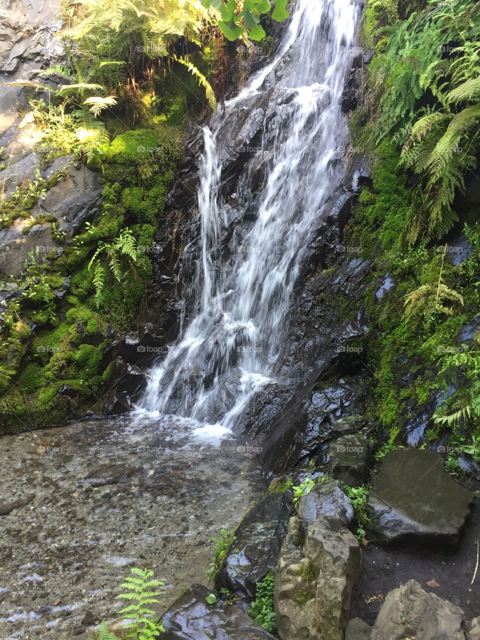 The waterfall in the main quarry garden at Queen Elizabeth Park in Vancouver, British Columbia.