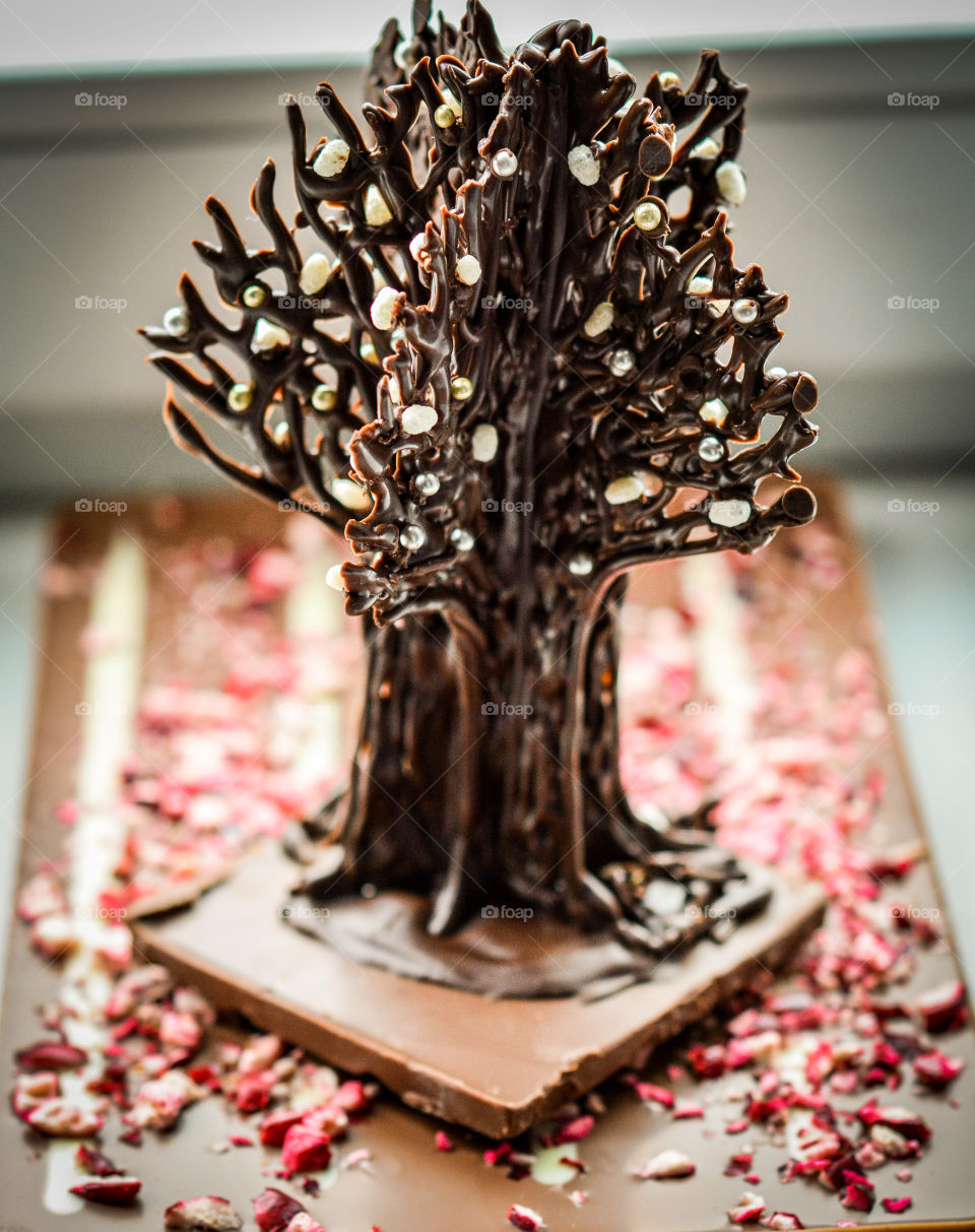 chocolate autumn tree