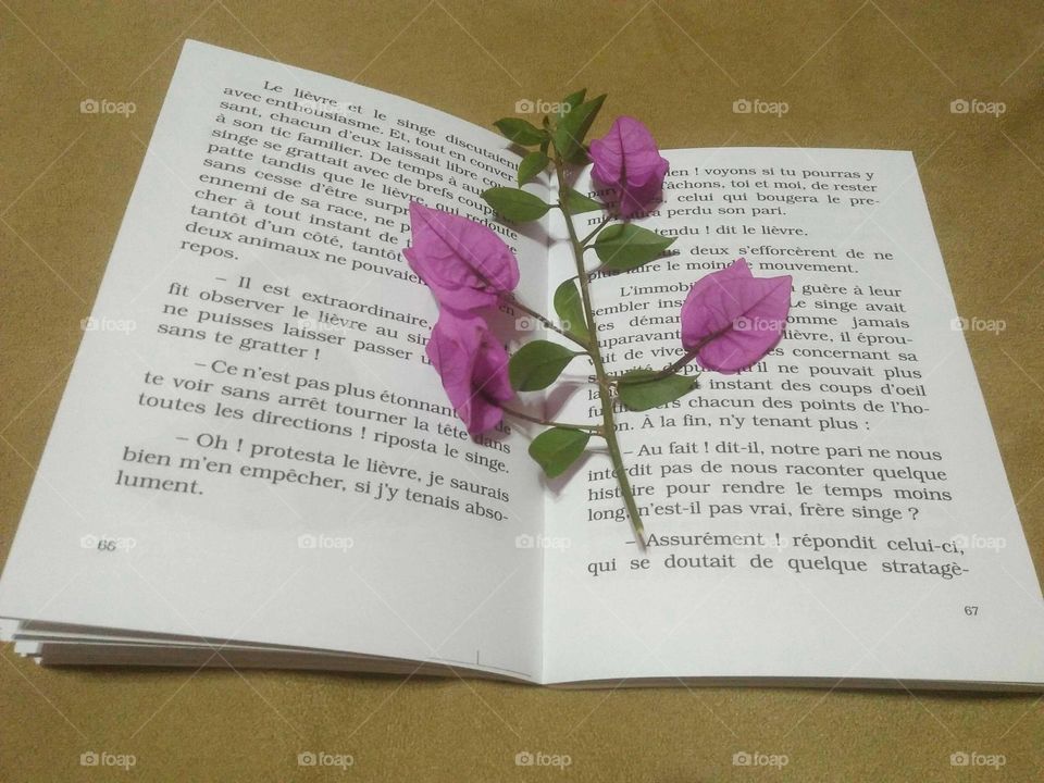 Beautiful flowers into a book