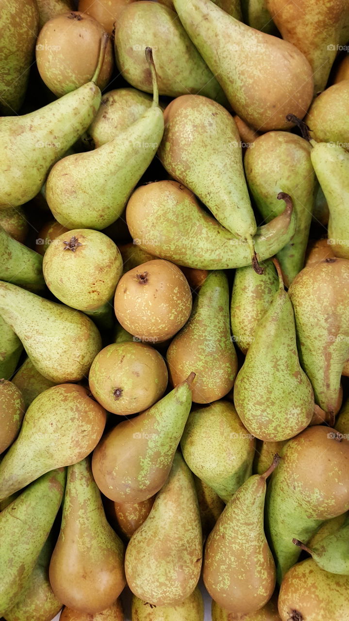 Close-up of conference pears