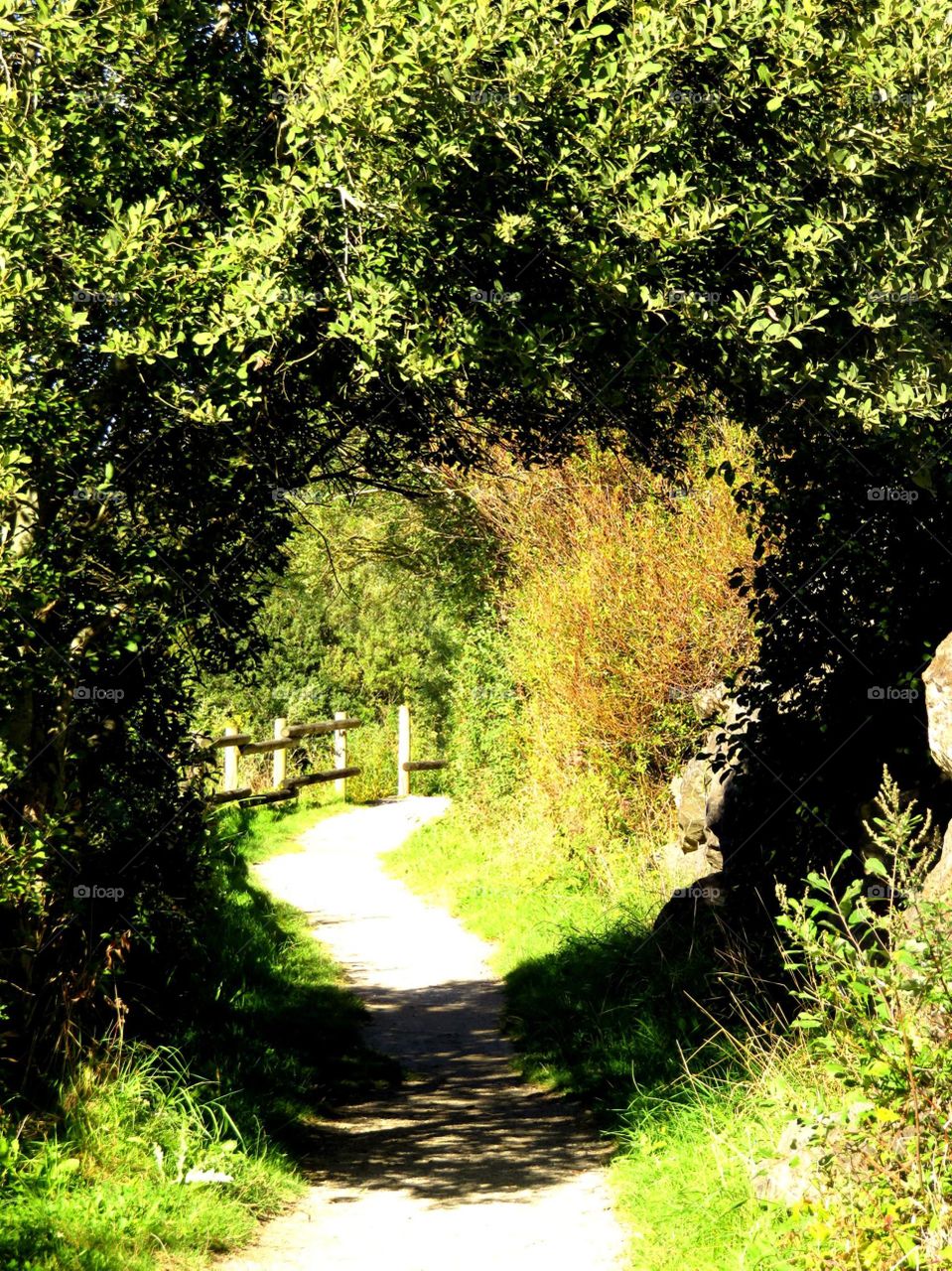 green arch