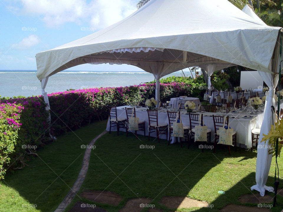 sky party grass sea by tshfkym