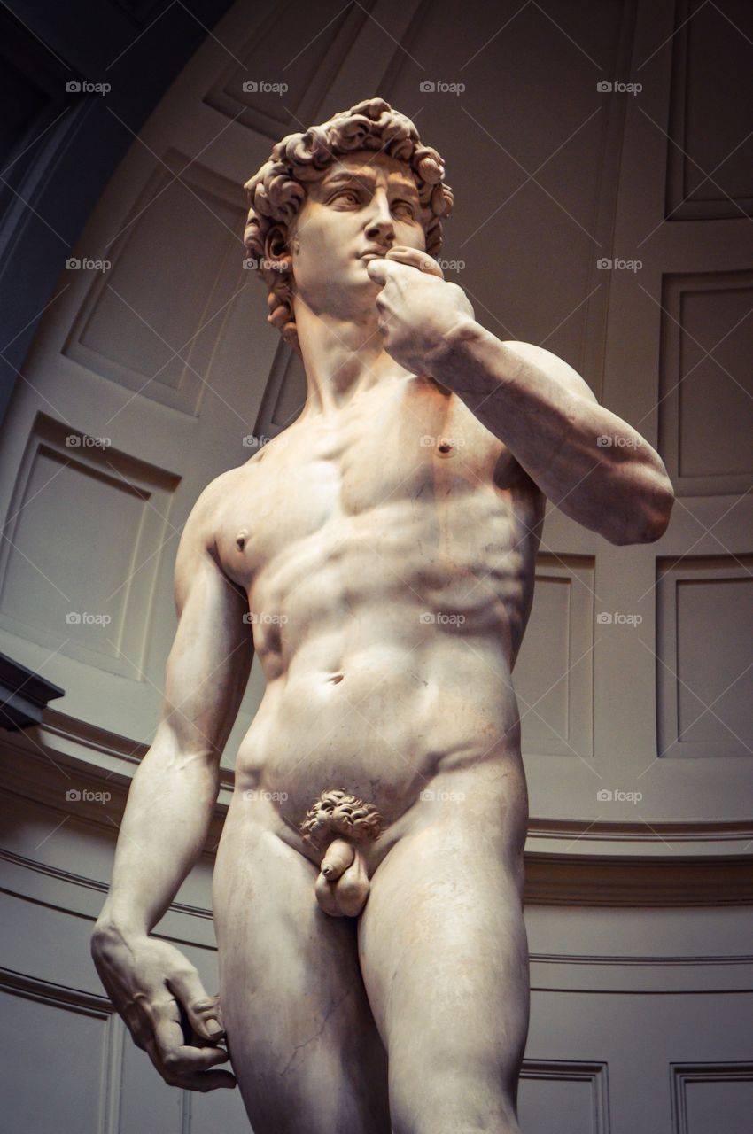 El David de Miguel Ángel (Florence - Italy)