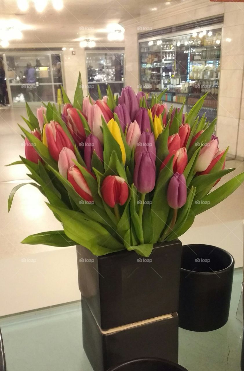 Tulips in a Vase